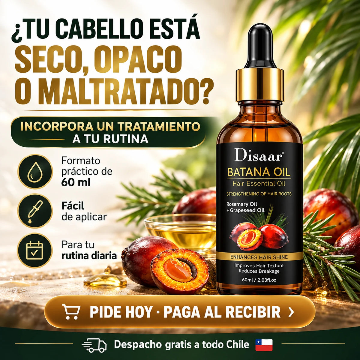 Empieza hoy tu rutina capilar
